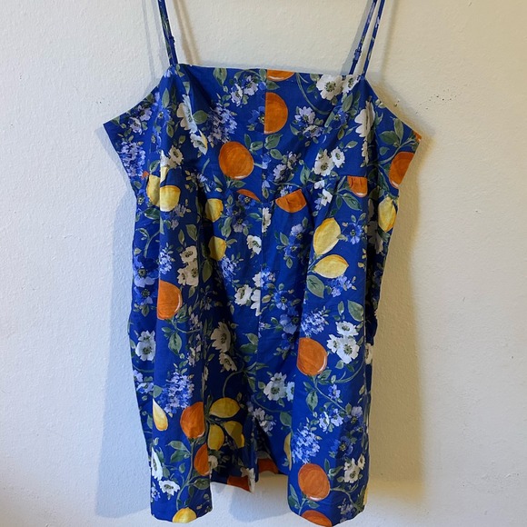Anthropologie Corey Lynn Calter Pants - Anthropologie Corey Lynn Calter Blue Citrus Floral Smocked Romper XL